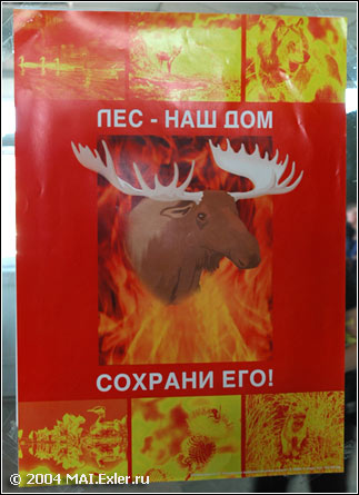 ����������� �����������