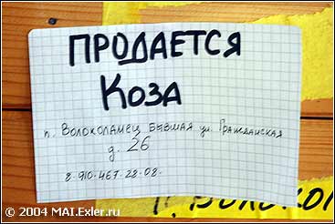 ����������� �����������