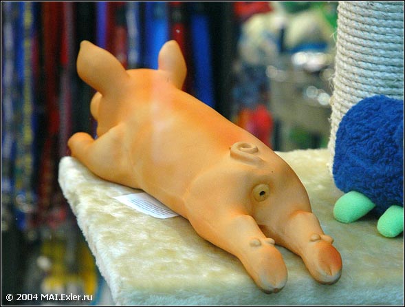 ����������� �����������