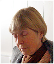   ˸