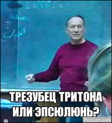   : «   ?»